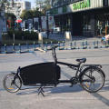 250W cargo with basket cargo bike Electric Cargo